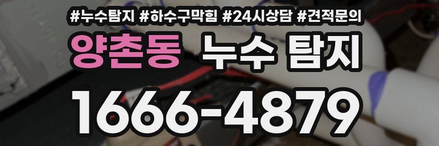 양촌동 누수 탐지