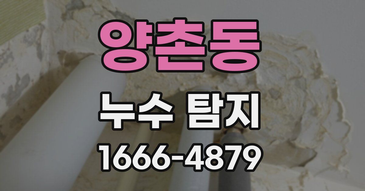 양촌동 누수 탐지