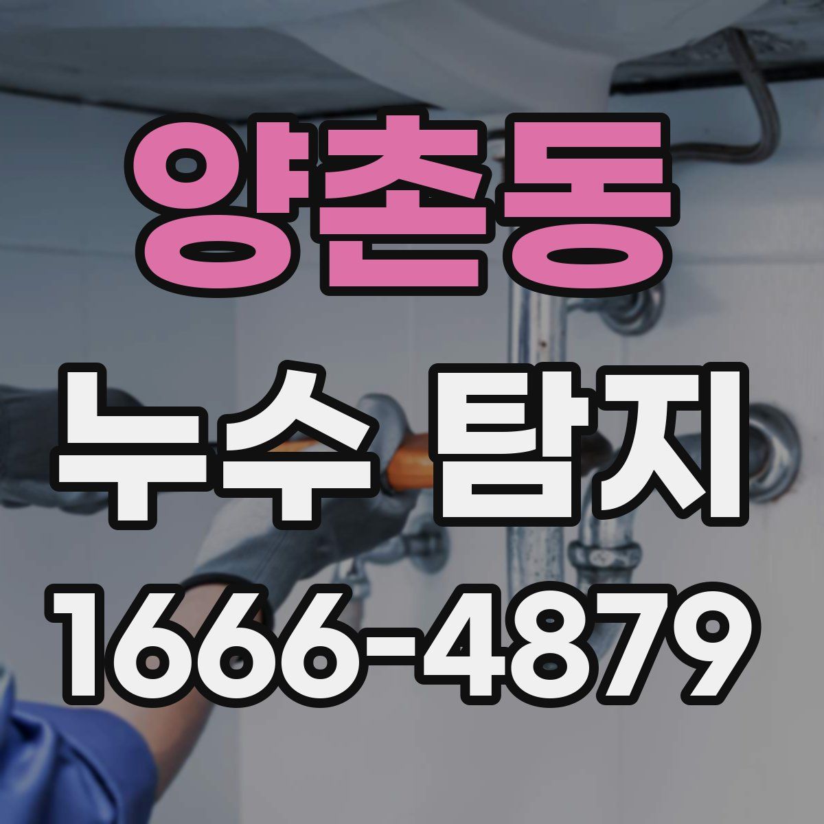 양촌동 누수 탐지