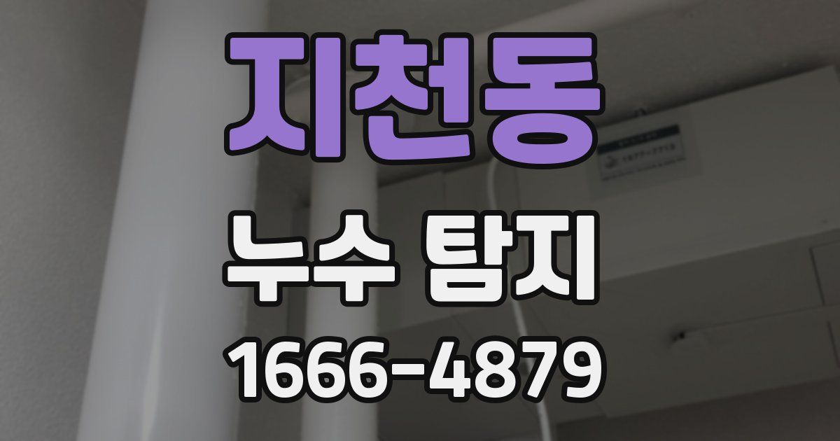 지천동 누수 탐지