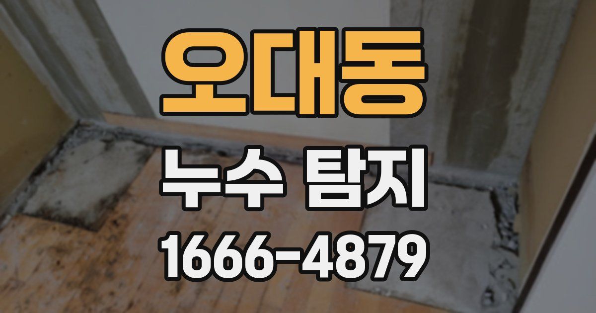 오대동 누수 탐지