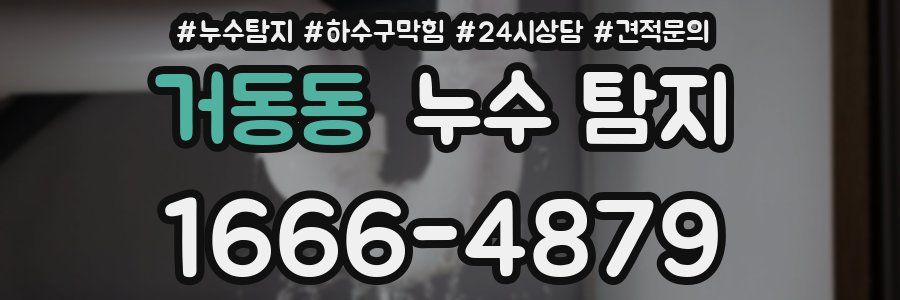 거동동 누수 탐지