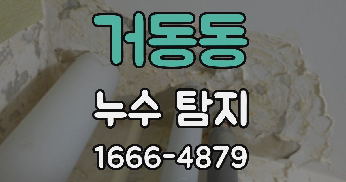 거동동 누수 탐지