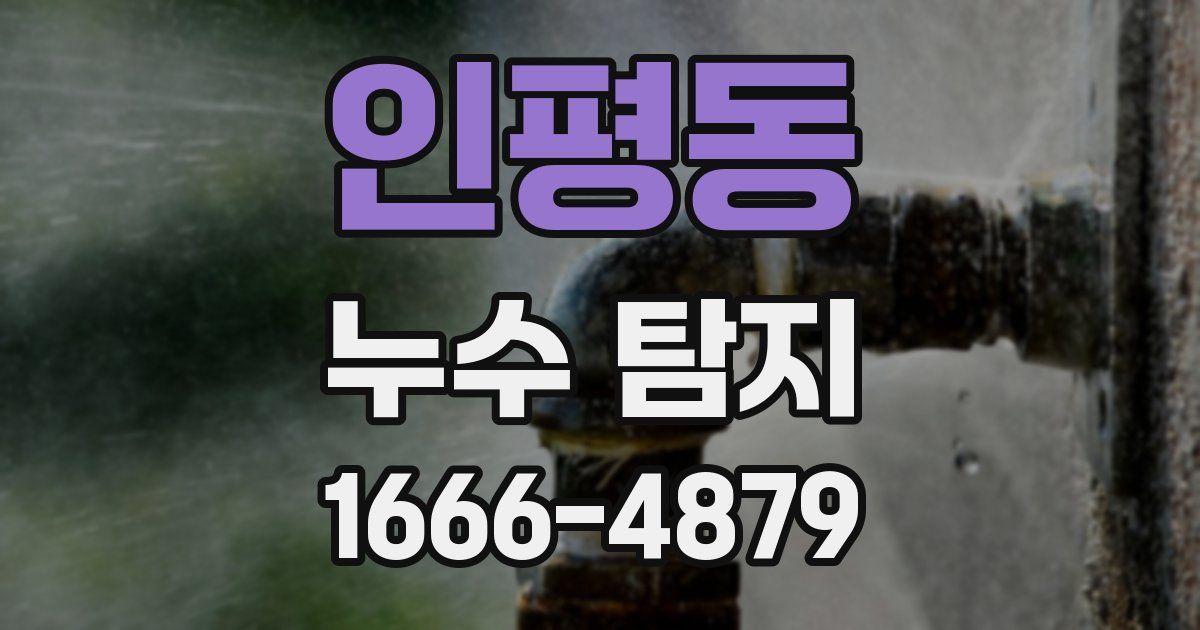인평동 누수 탐지