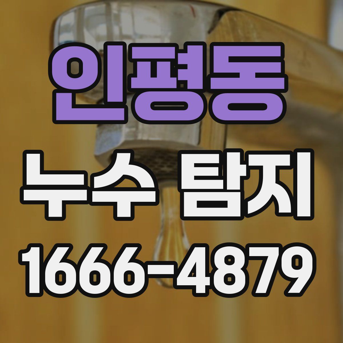 인평동 누수 탐지