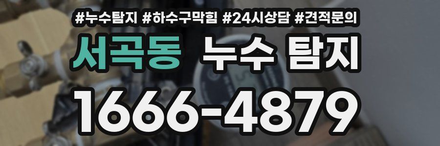 서곡동 누수 탐지