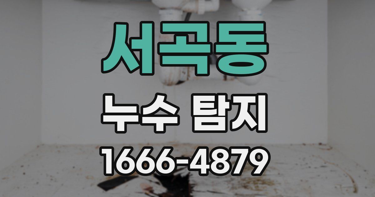 서곡동 누수 탐지