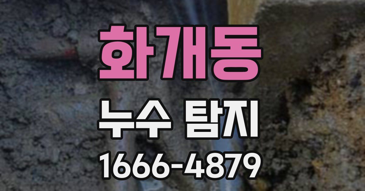 화개동 누수 탐지