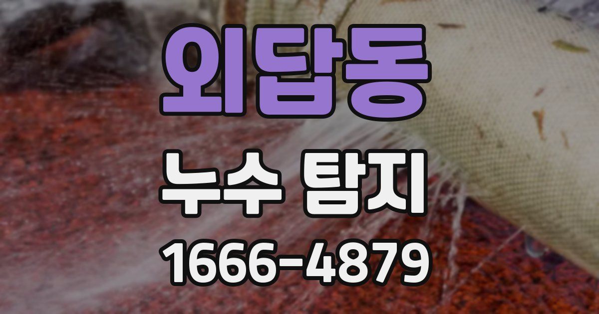외답동 누수 탐지