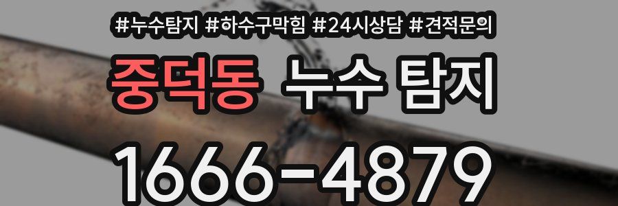 중덕동 누수 탐지