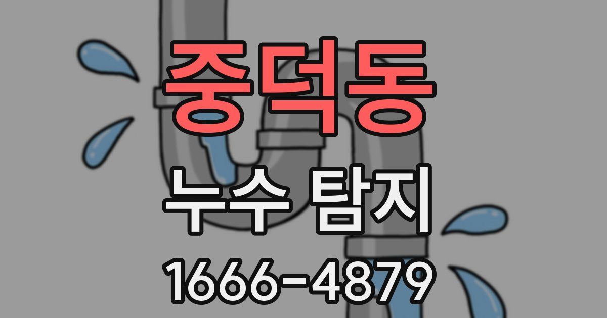 중덕동 누수 탐지