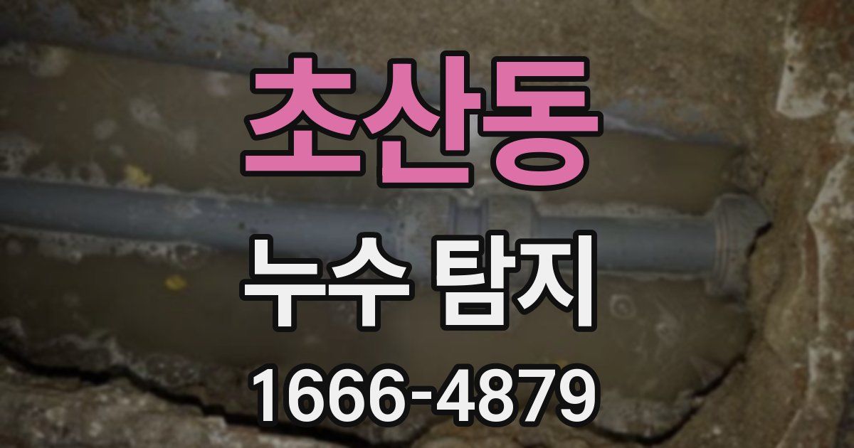 초산동 누수 탐지