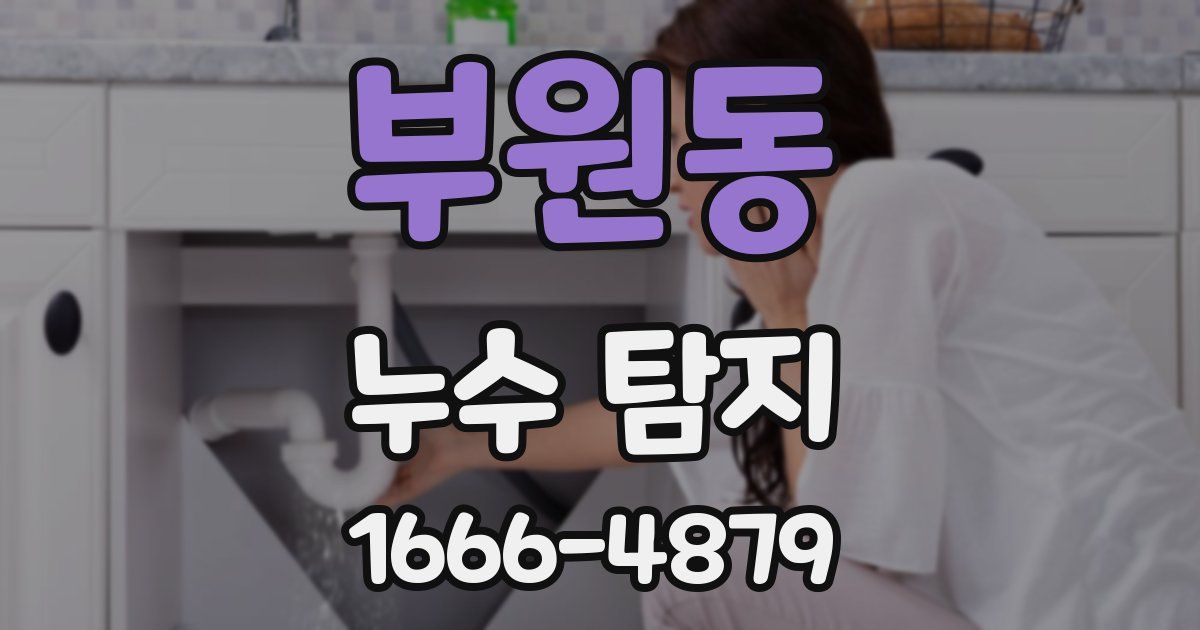 부원동 누수 탐지