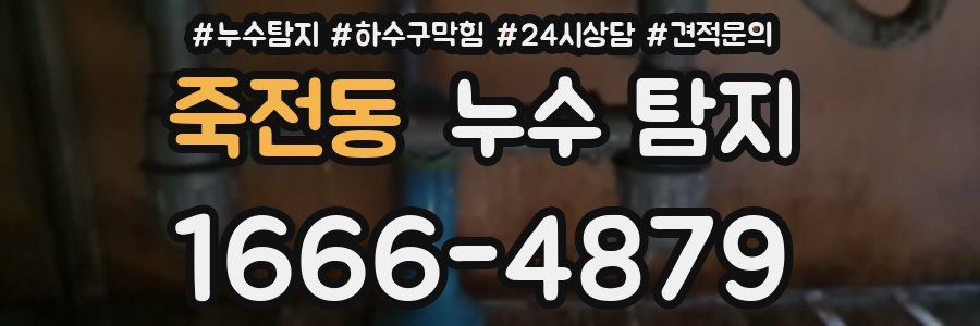 죽전동 누수 탐지