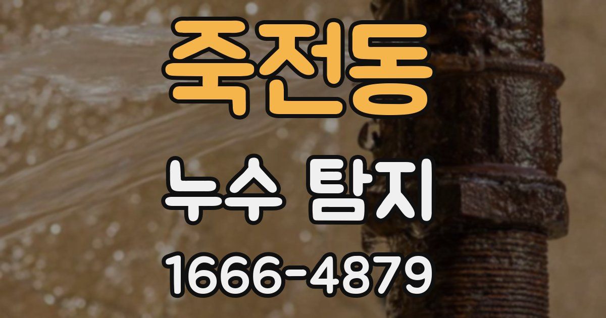 죽전동 누수 탐지