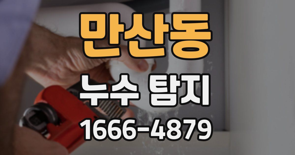 만산동 누수 탐지