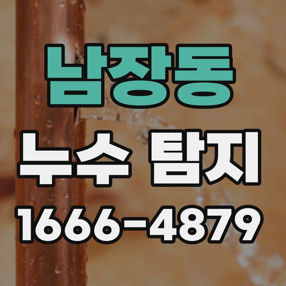 남장동 누수 탐지