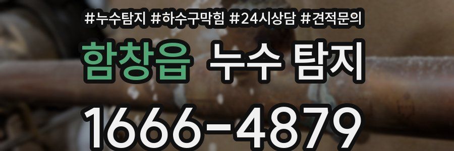 함창읍 누수 탐지