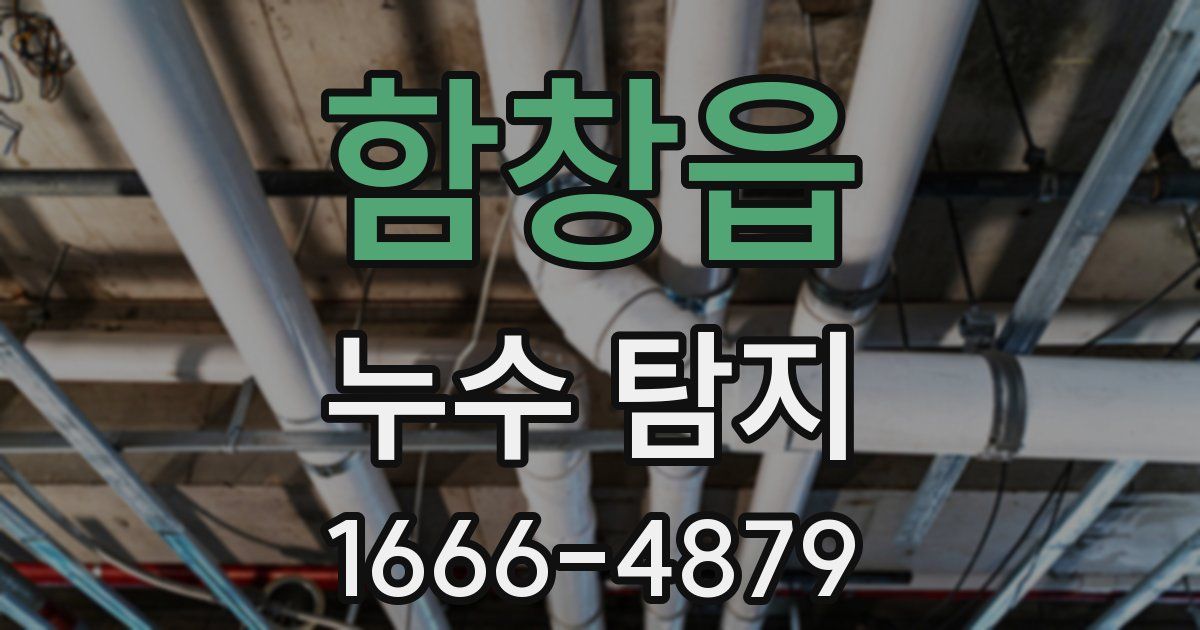 함창읍 누수 탐지
