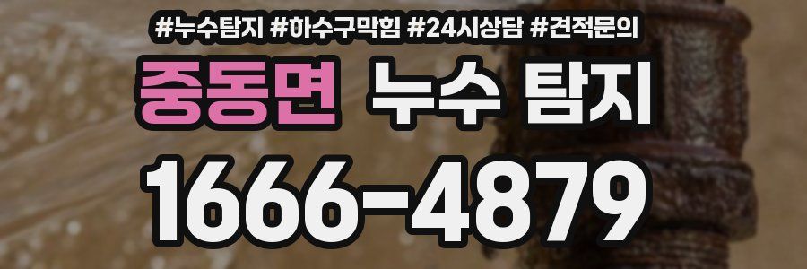 중동면 누수 탐지