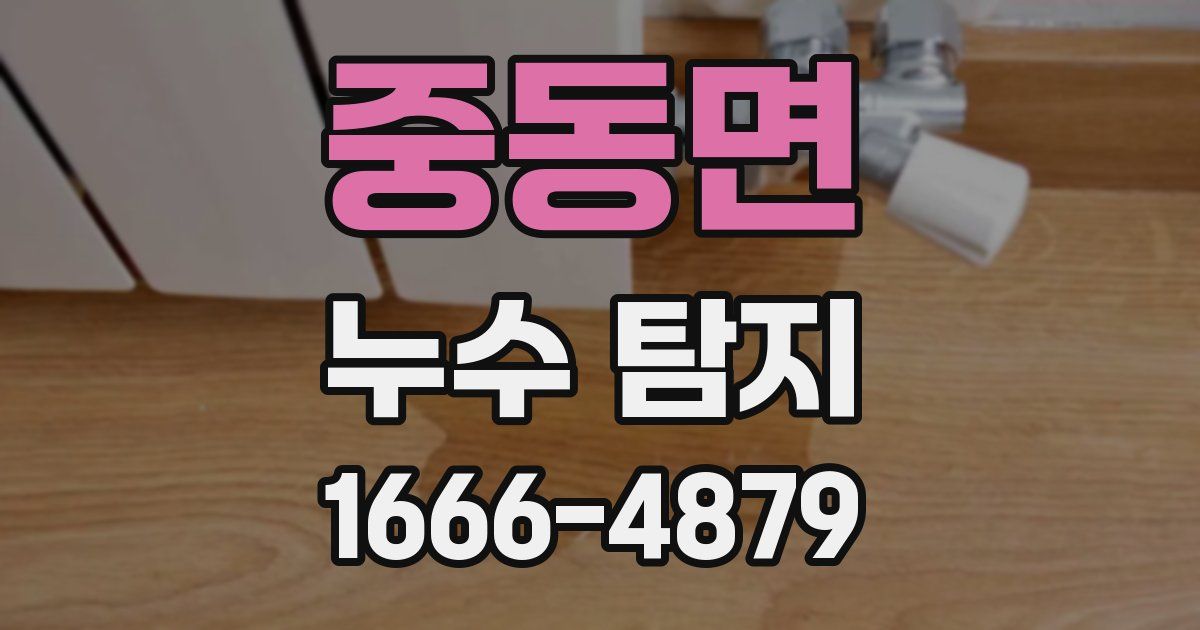 중동면 누수 탐지