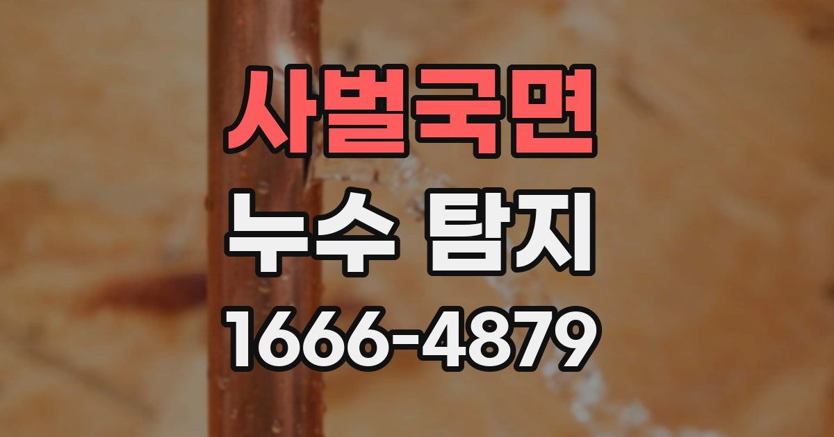 사벌국면 누수 탐지