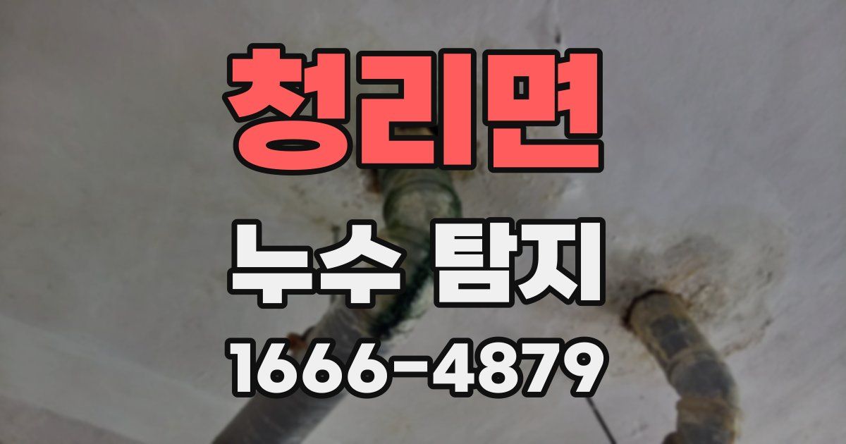 청리면 누수 탐지