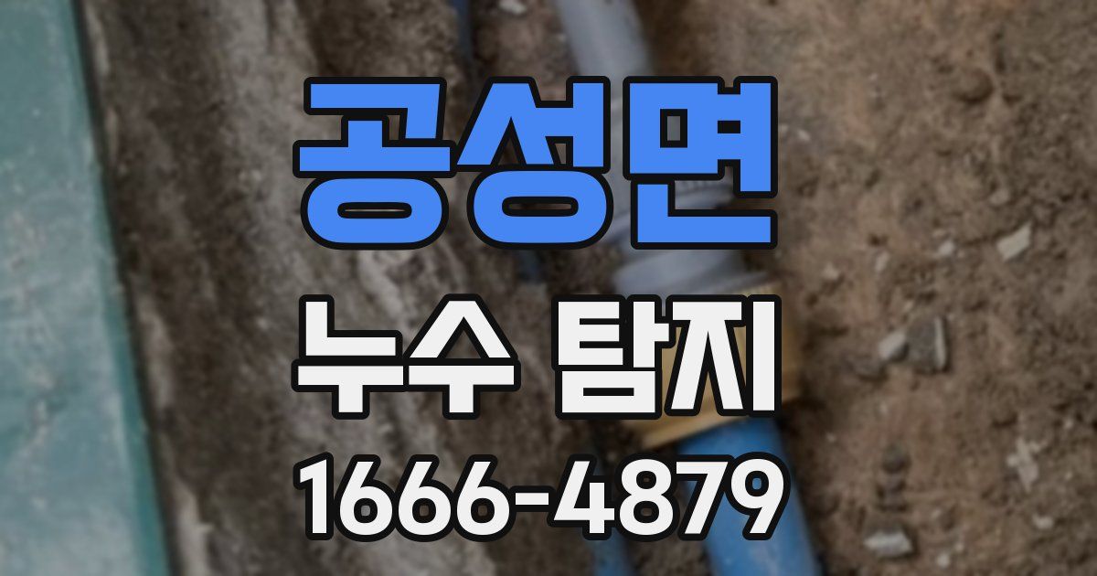 공성면 누수 탐지