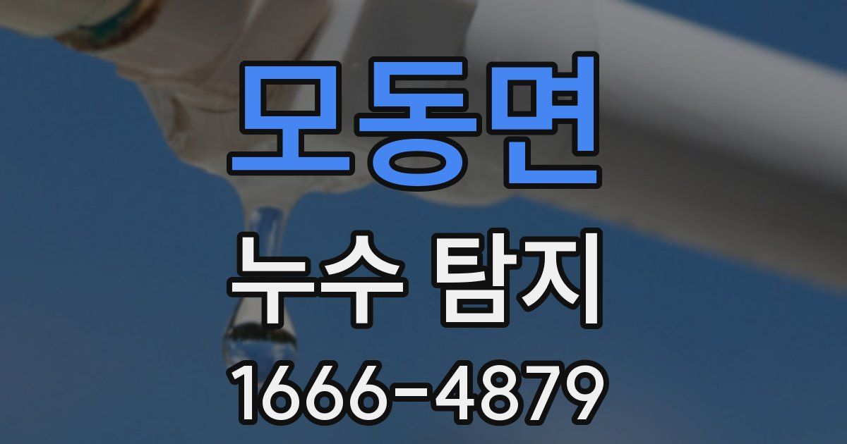 모동면 누수 탐지