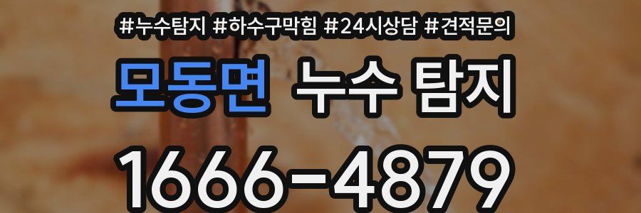모동면 누수 탐지