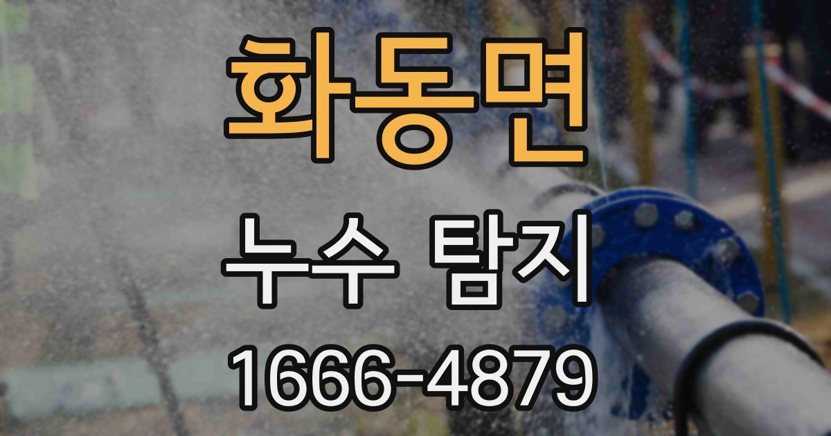 화동면 누수 탐지