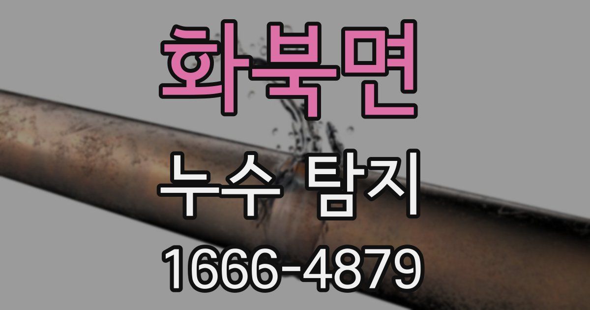 화북면 누수 탐지