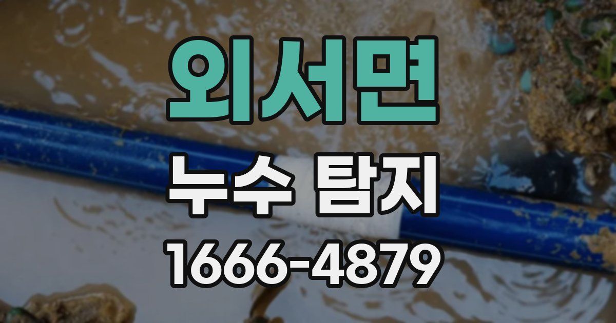 외서면 누수 탐지