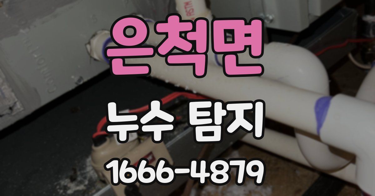 은척면 누수 탐지