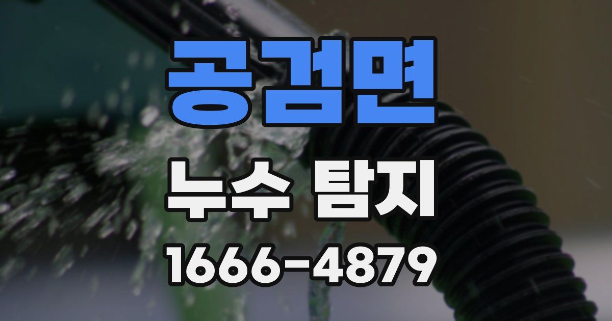 공검면 누수 탐지