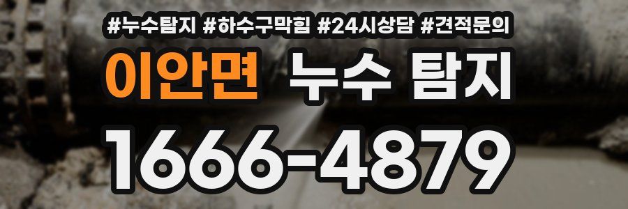 이안면 누수 탐지