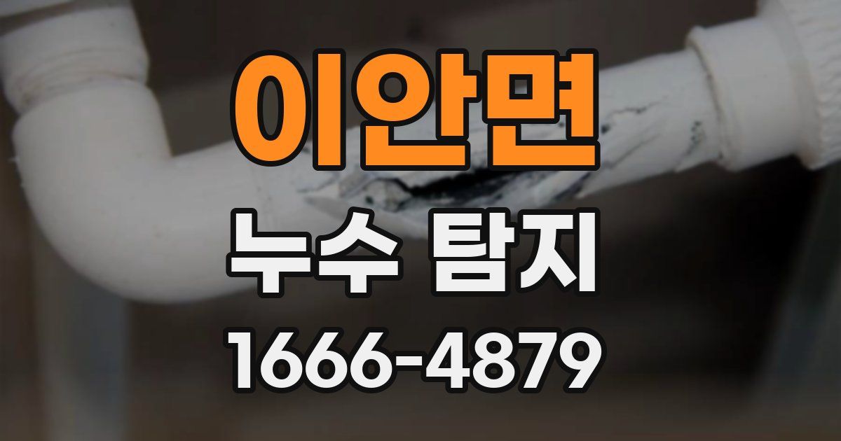 이안면 누수 탐지