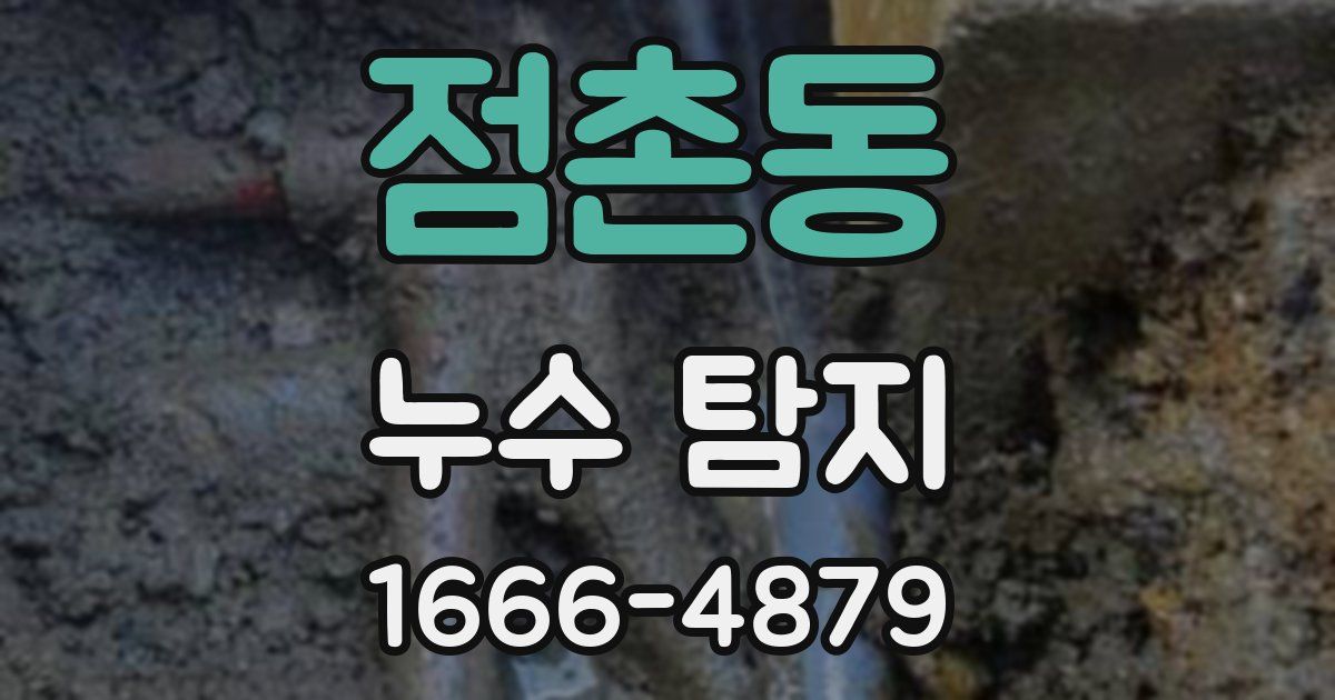 점촌동 누수 탐지