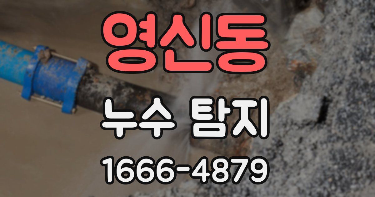 영신동 누수 탐지