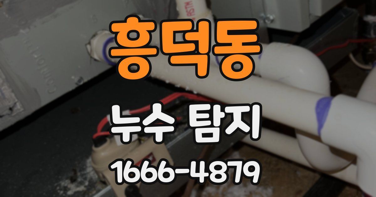 흥덕동 누수 탐지