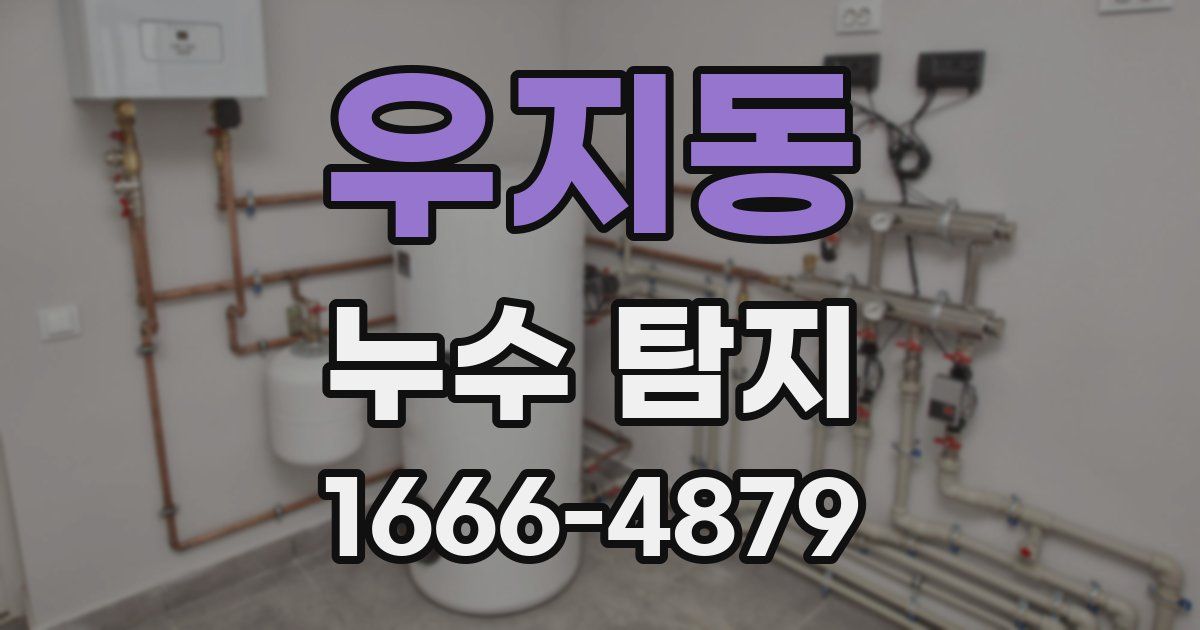 우지동 누수 탐지
