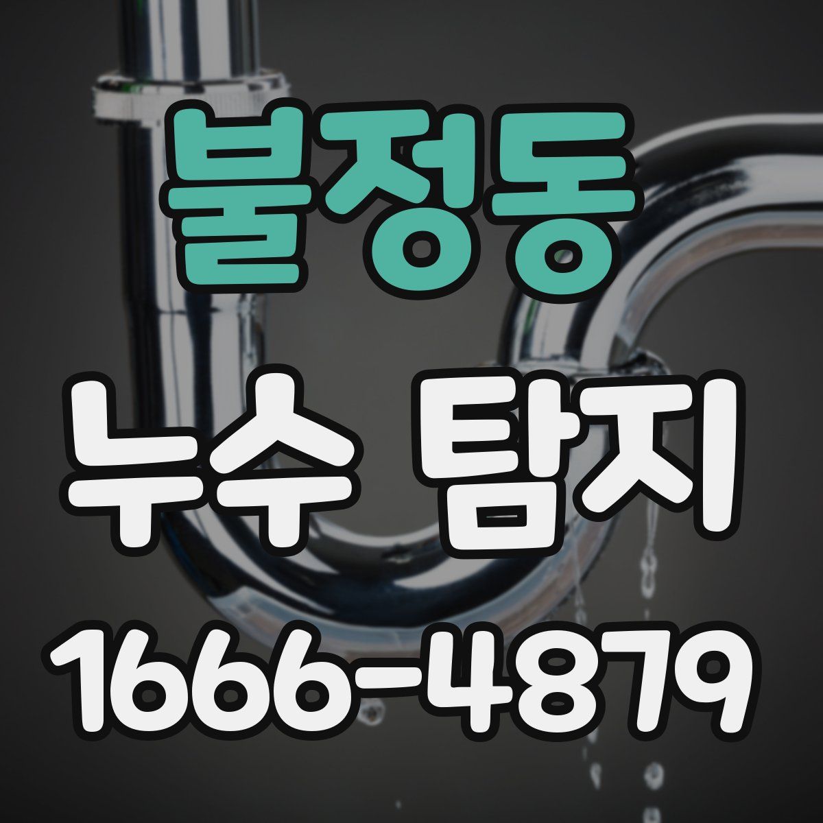 불정동 누수 탐지