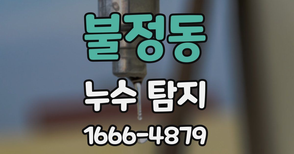 불정동 누수 탐지