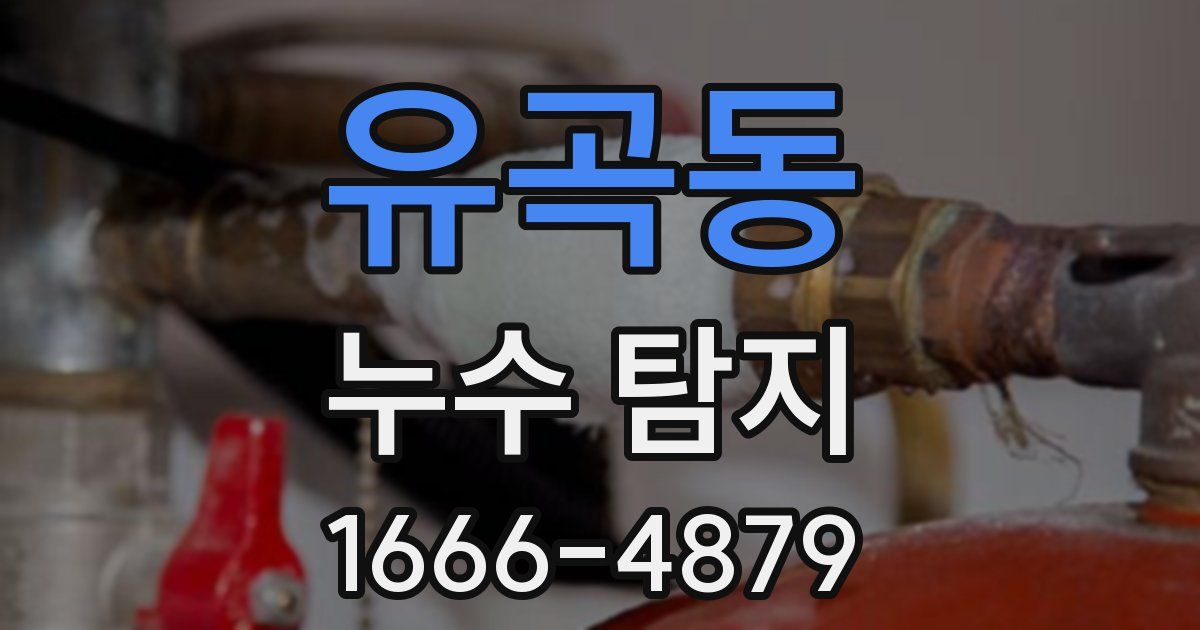 유곡동 누수 탐지