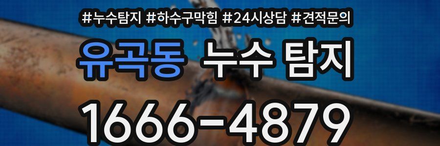 유곡동 누수 탐지