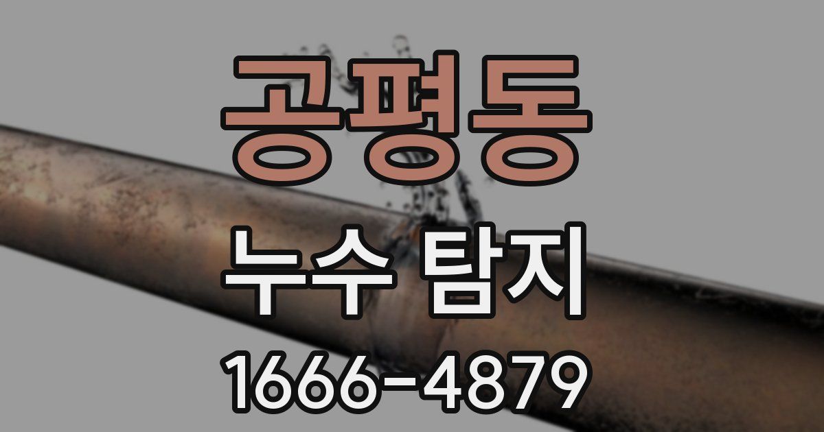 공평동 누수 탐지