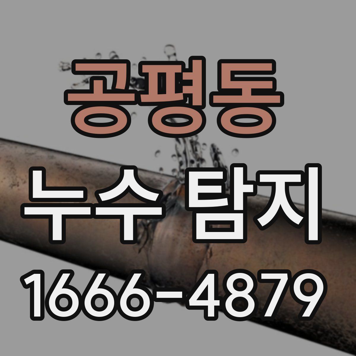 공평동 누수 탐지