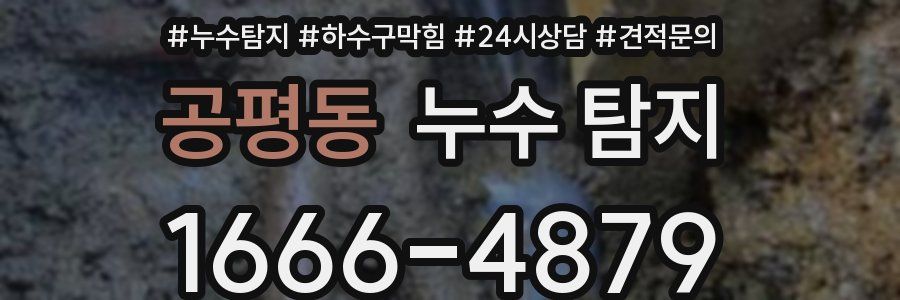 공평동 누수 탐지