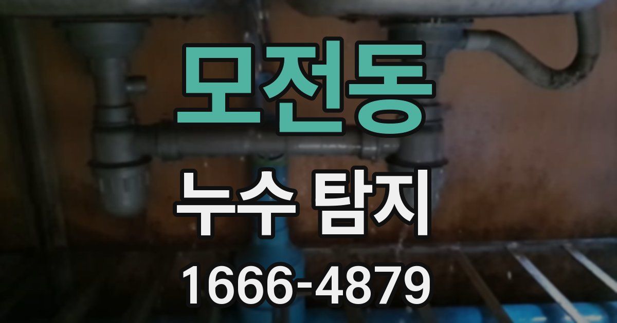 모전동 누수 탐지