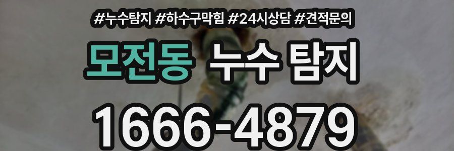 모전동 누수 탐지